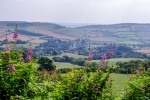 IMGP7116.jpg